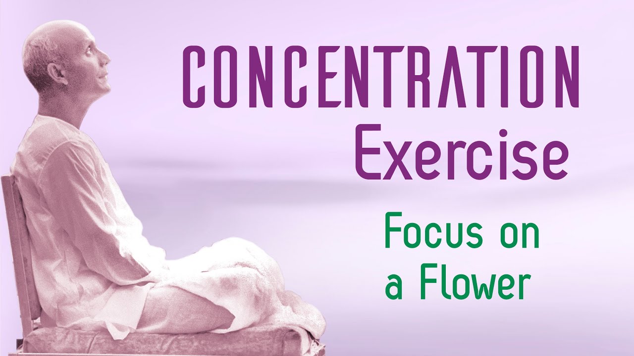 Concentrate on a Flower: A Sri Chinmoy concentration exercise