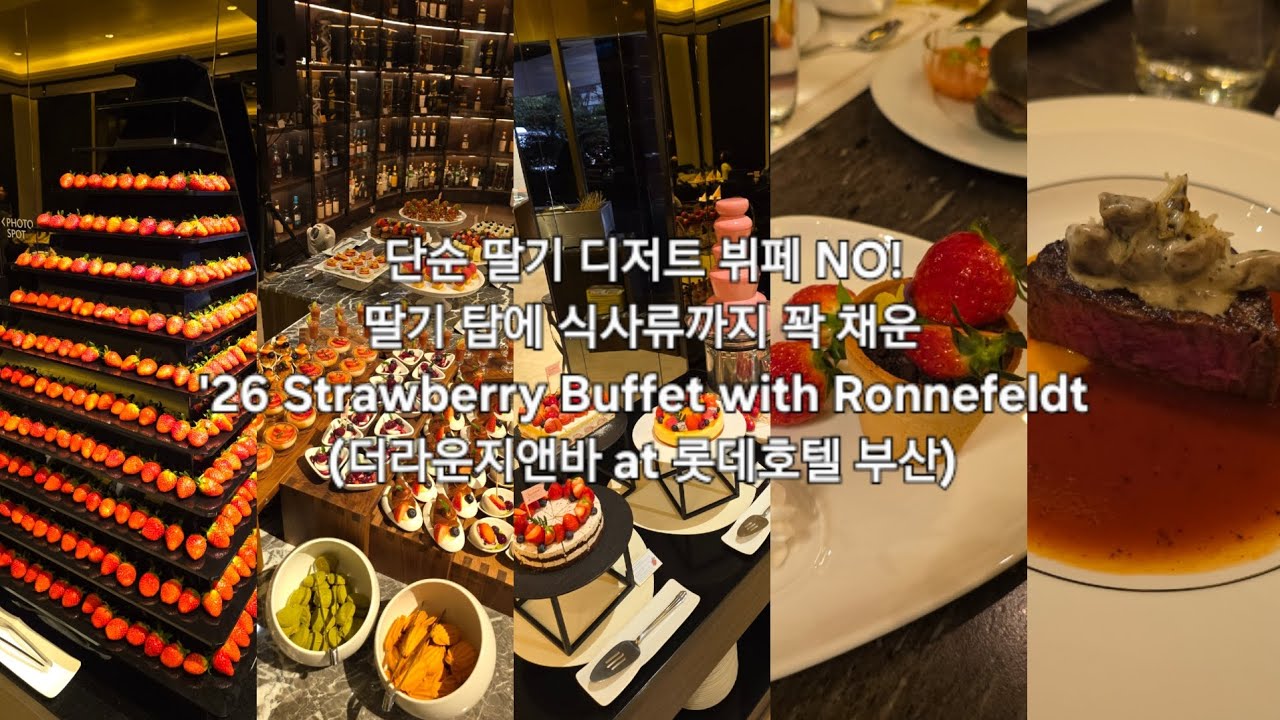 단순 딸기 디저트 뷔페 NO! 딸기 탑에 식사류까지 꽉 채운 '26 Strawberry Buffet with Ronnefeldt (더라운지앤바 at 롯데호텔 부산)