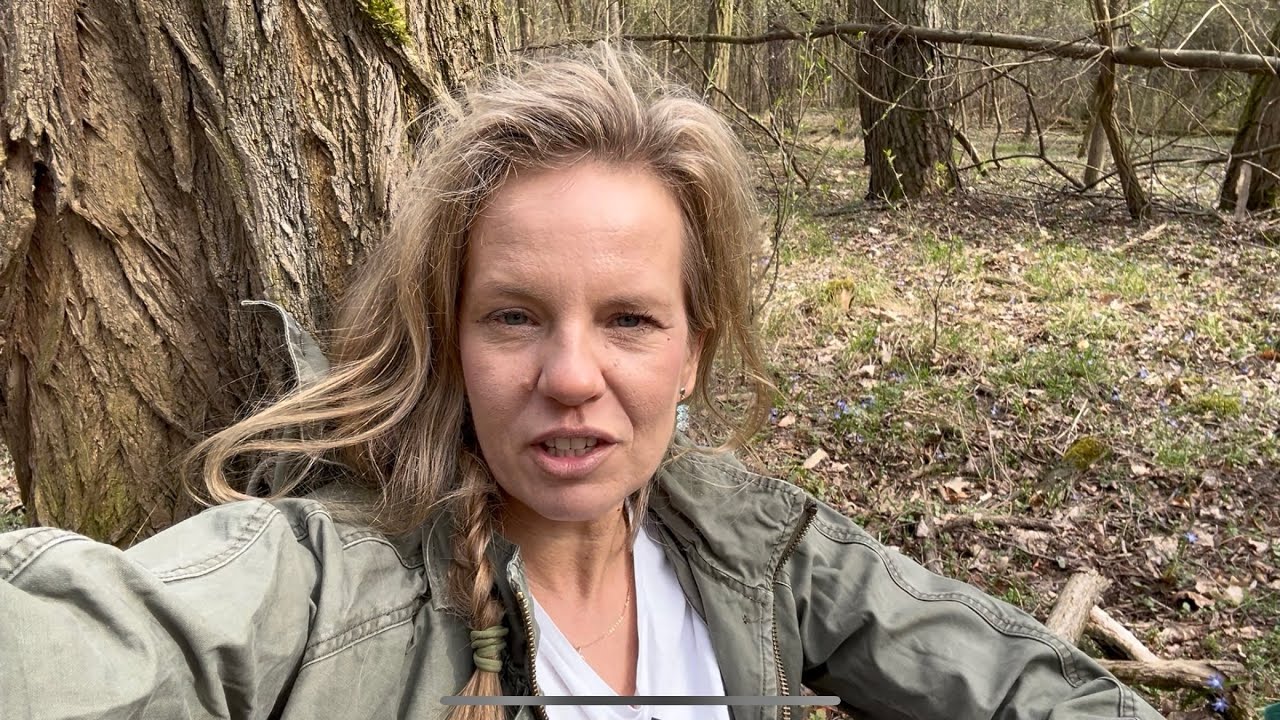 5.04.26 - Grzybowa wiosna plus migawki z francuskich Alp