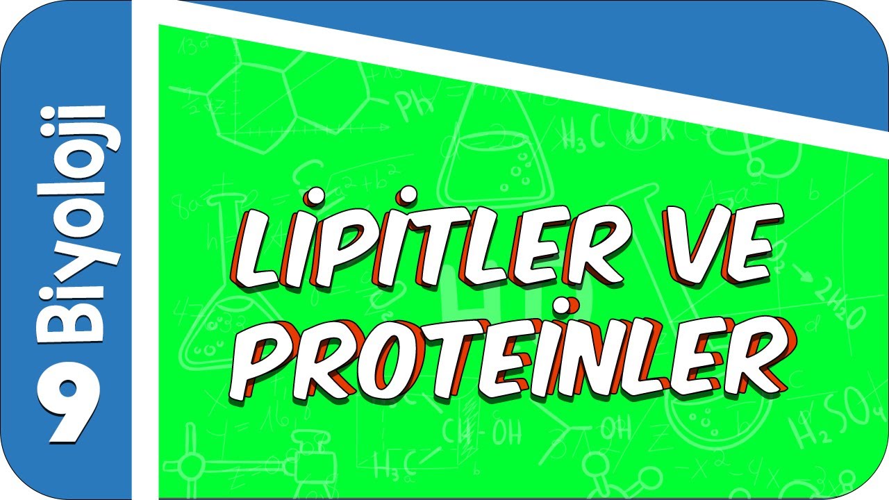 9. Sınıf Biyoloji: Lipitler ve Proteinler  #2022