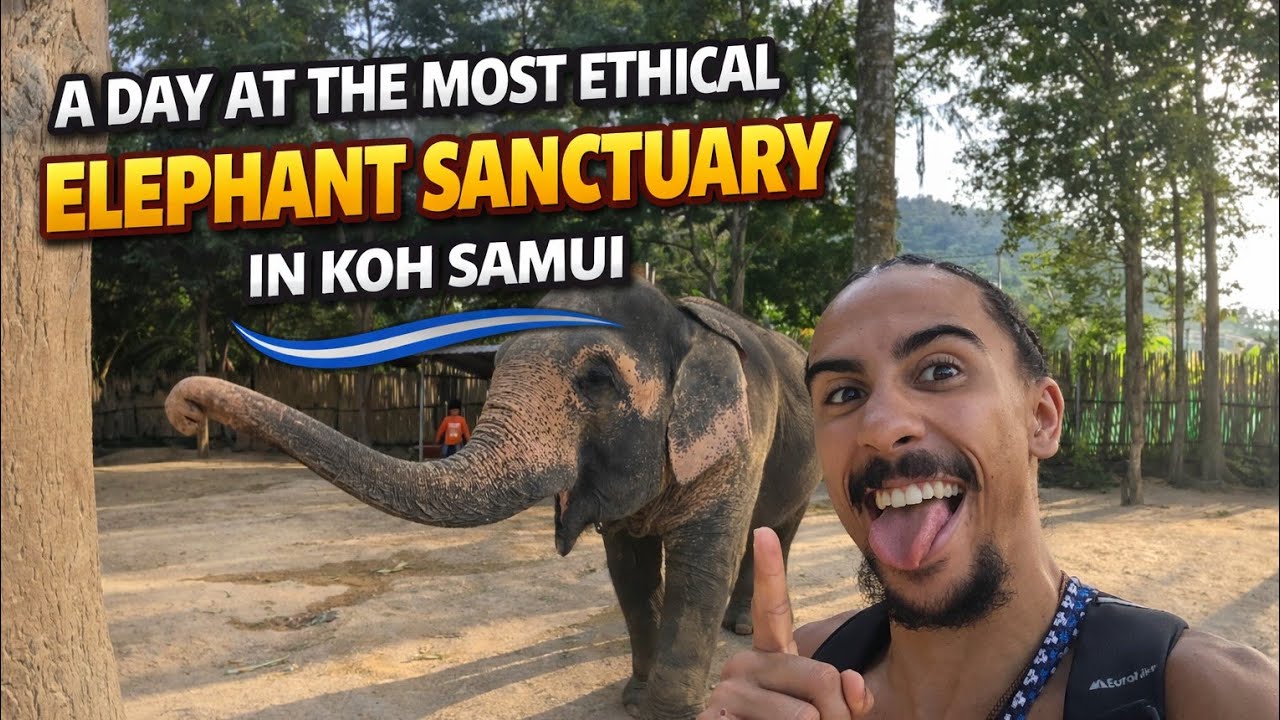 A Day at the Most Ethical Elephant Sanctuary in Koh Samui