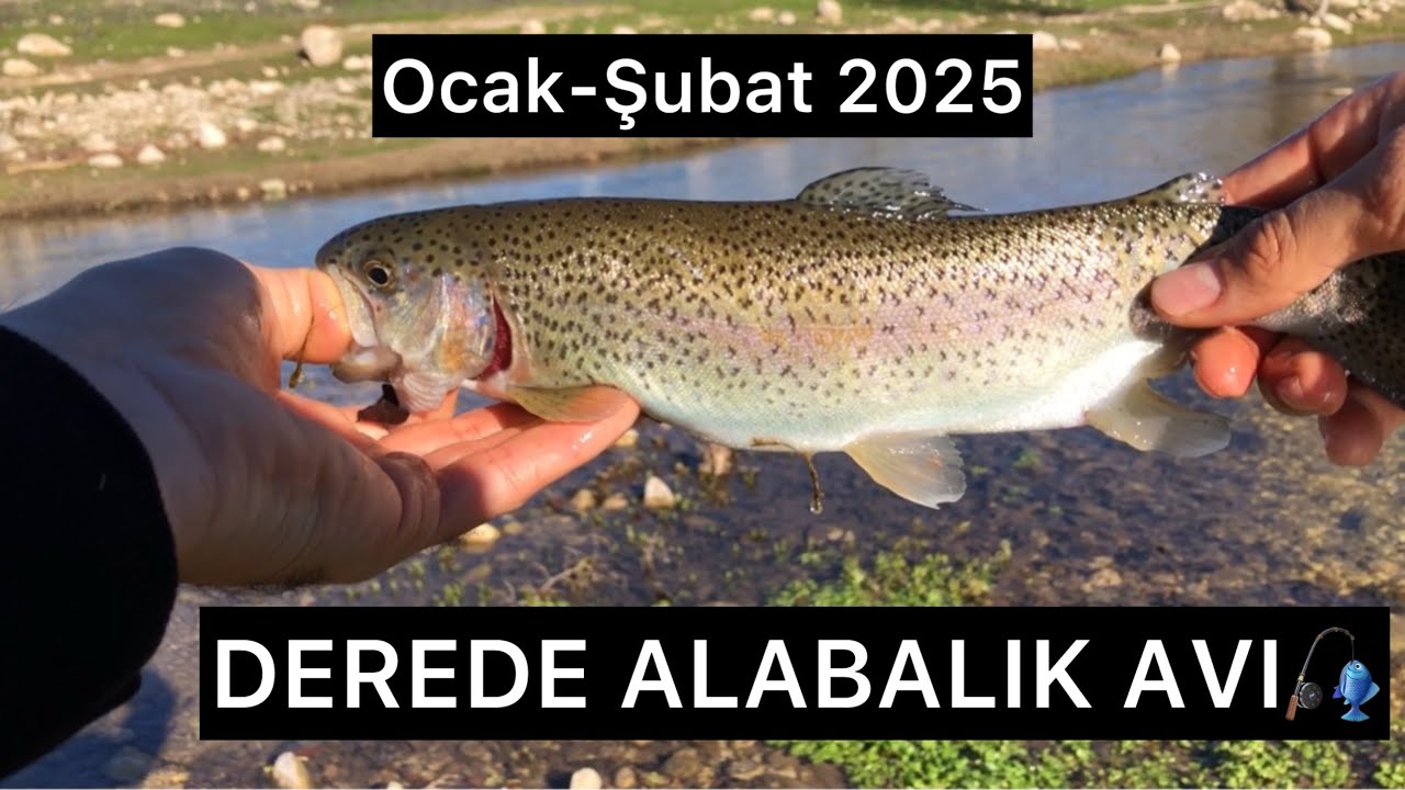 Derede Alabalık Avı 2025 Ocak-Şubat KARACAÖREN