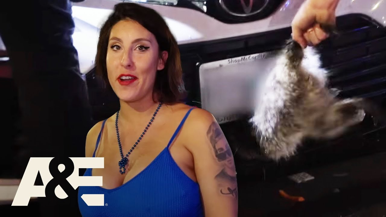 A Parked Car Becomes Home to an Unexpected Raccoon | Ozark Law | A&E
