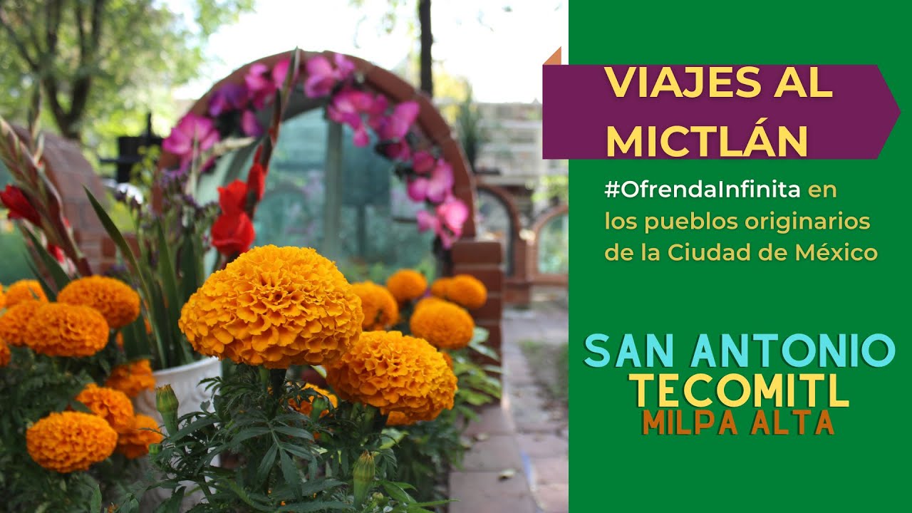 Tradiciones de Día de Muertos en Milpa Alta