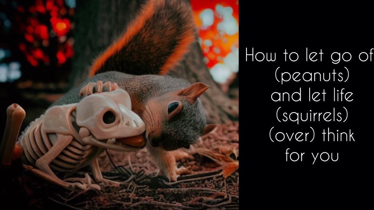 Squirrel wisdom