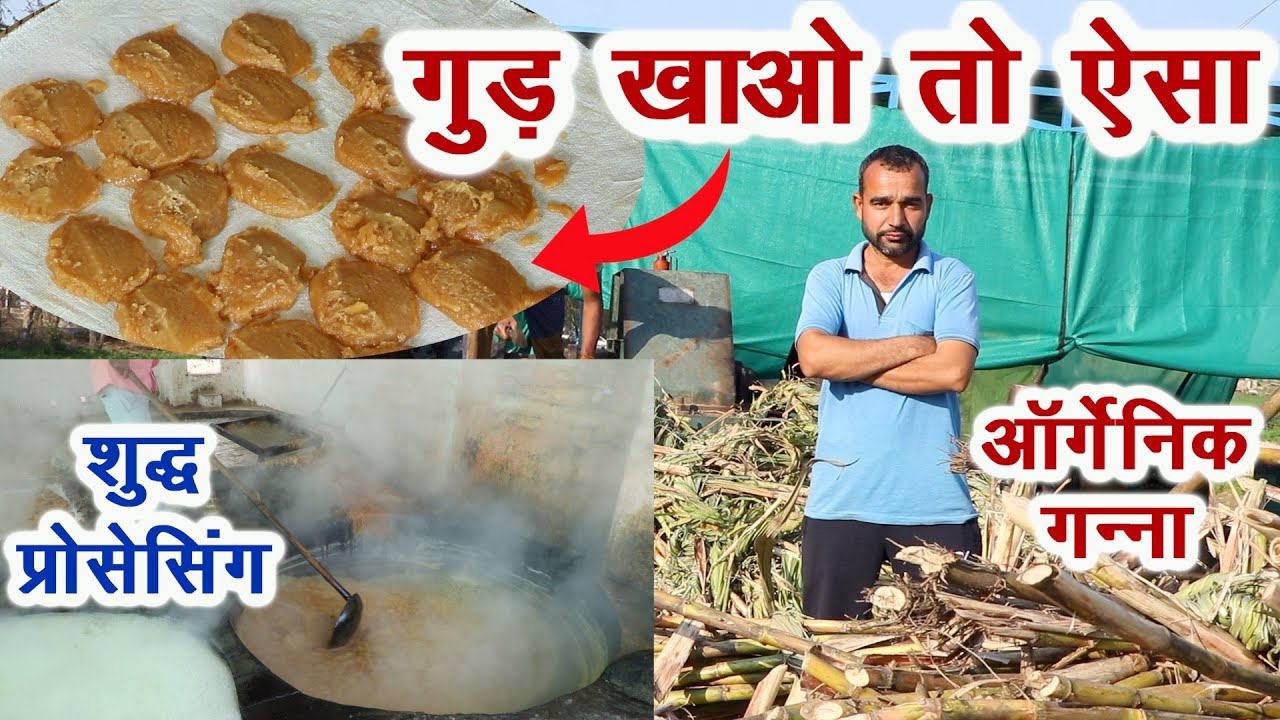 गुड़ खाओ तो ऐसा, इसमें शुद्धता की मिठास है || Technical Farming ||