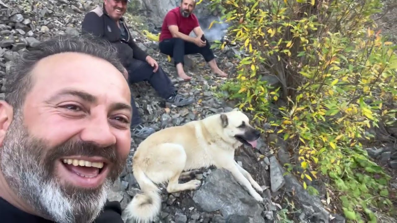 Topağa&ccedil; k&ouml;y&uuml; mantar avı ve y&uuml;r&uuml;y&uuml;ş