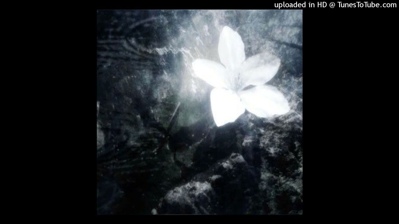 @izaya tiji + @1oneam + @ambient type beat