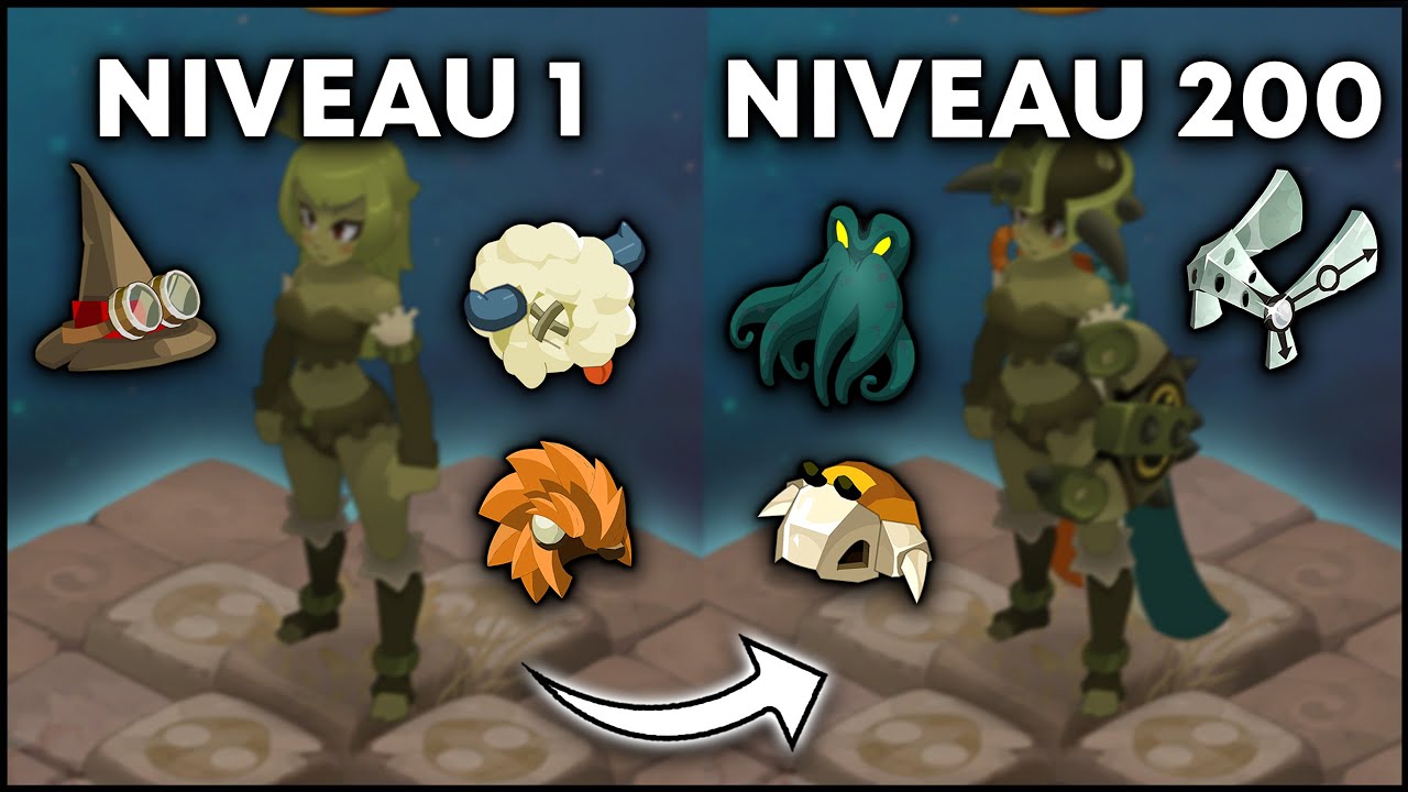 COMMENT XP sur DOFUS en 2025 ? (monocompte & team)