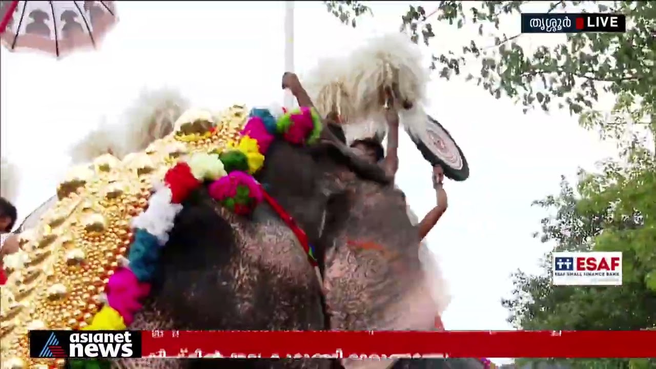 തിരുവമ്പാടിക്ക് മറുപടിയുമായി പാറമേക്കാവ്; ആവേശമായി കുടമാറ്റം, ഇനി നിറങ്ങളുടെ പൂരം Thrissur Pooram
