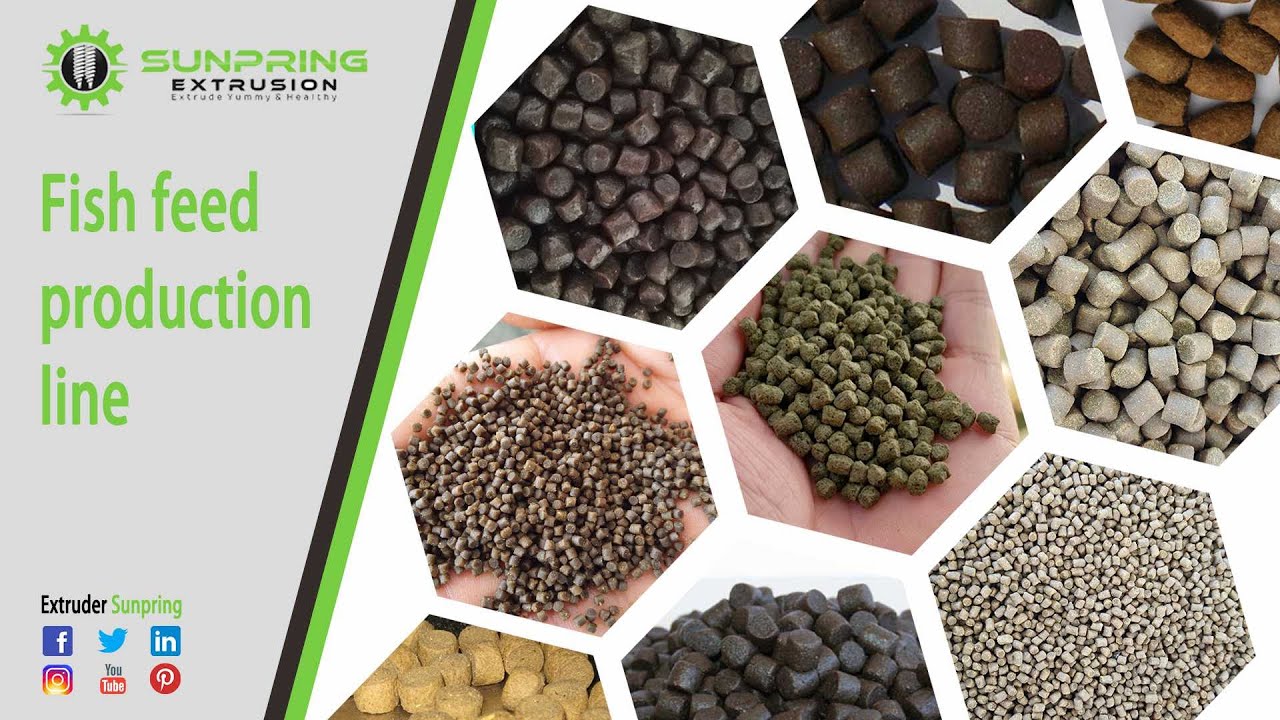 High protein content fish feed production line/fish feed production line