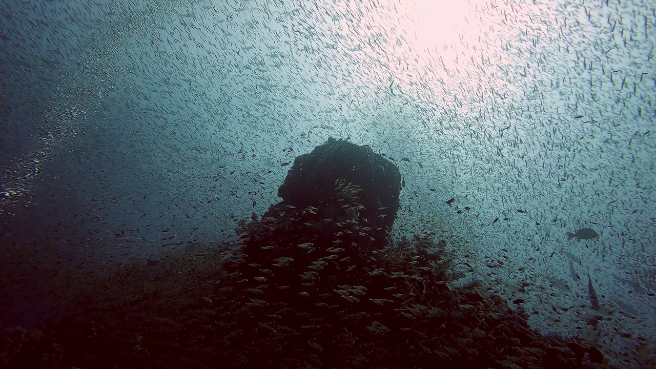 Scuba Diving Richelieu Rock Khao Lak Thailand