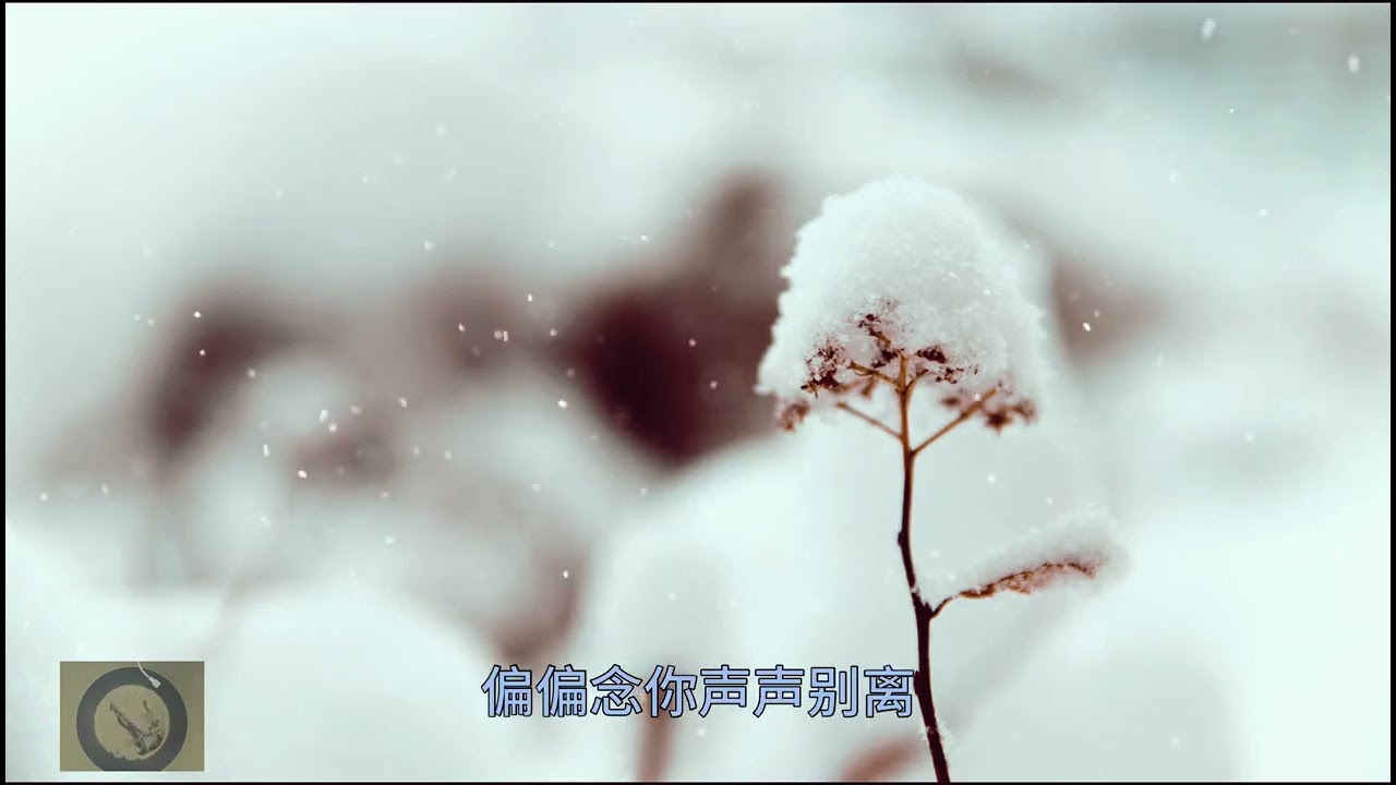 Gió Giục Mưa • Chước Yêu (COVER GUITAR)♪ 风催雨 • 灼夭