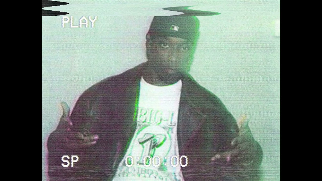 harlem crimes - big l x boom bap type beat (prod. the5thspirit)