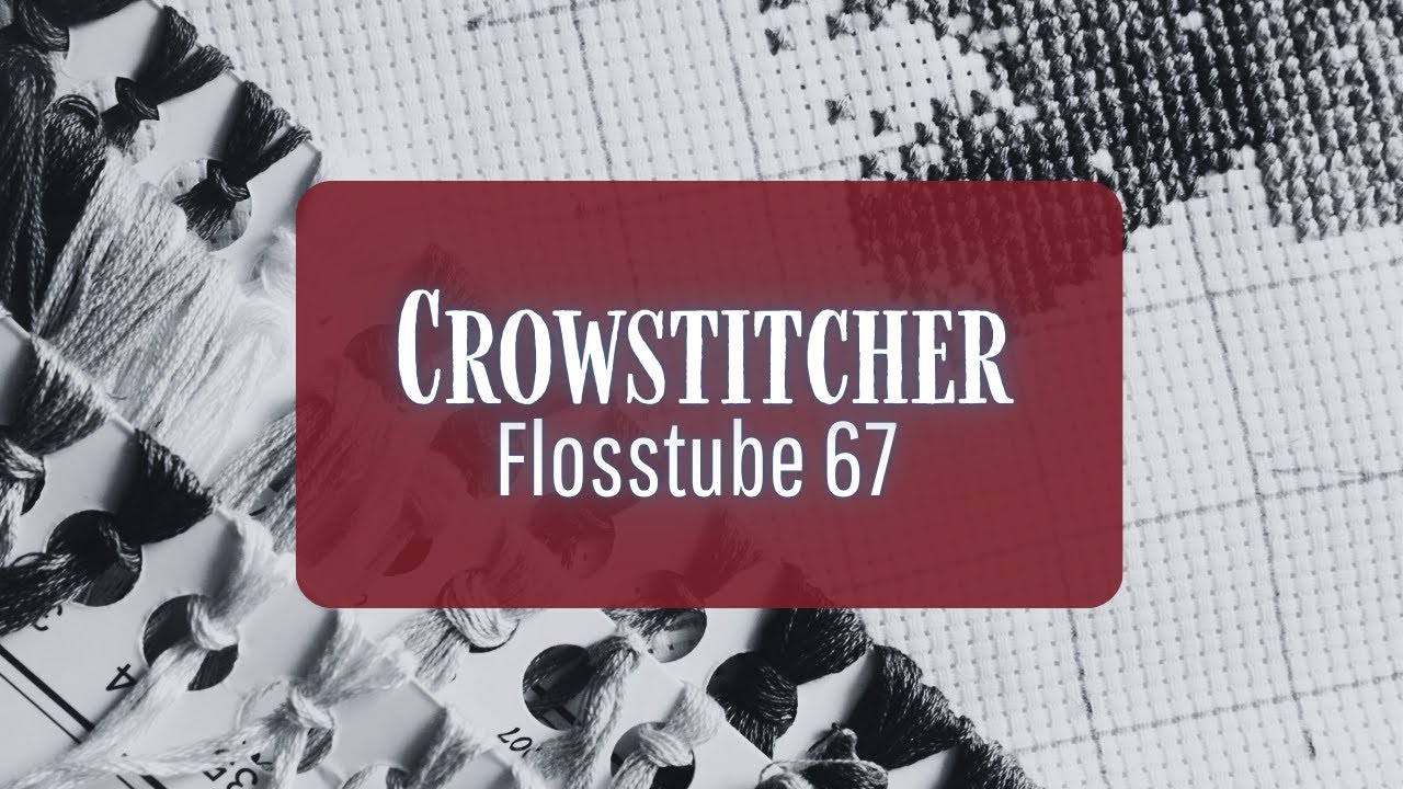 Flosstube 67: Trying out something new! #crossstitch #flosstube