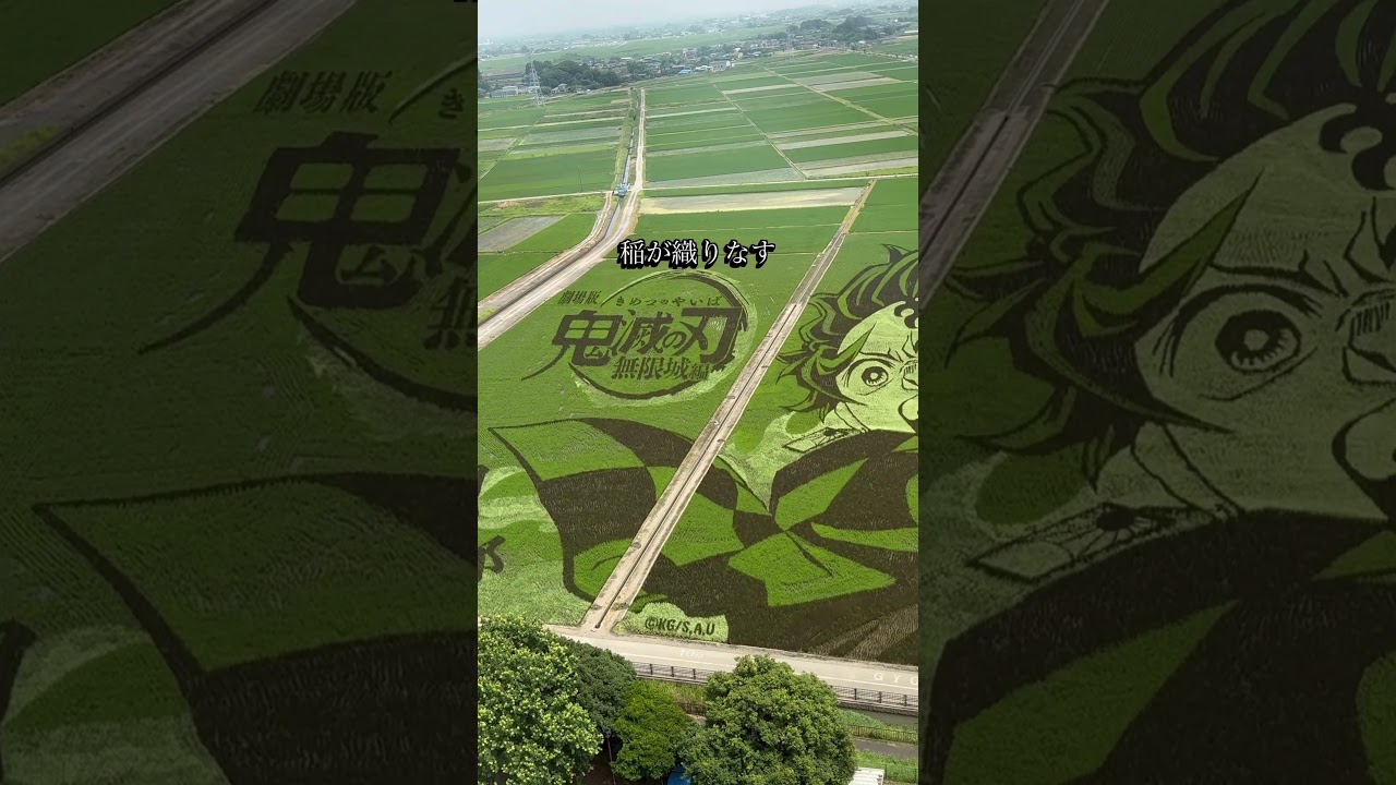 【鬼滅の刃】見事な田んぼアートを見てきた！#埼玉県 #行田 #子連れスポット