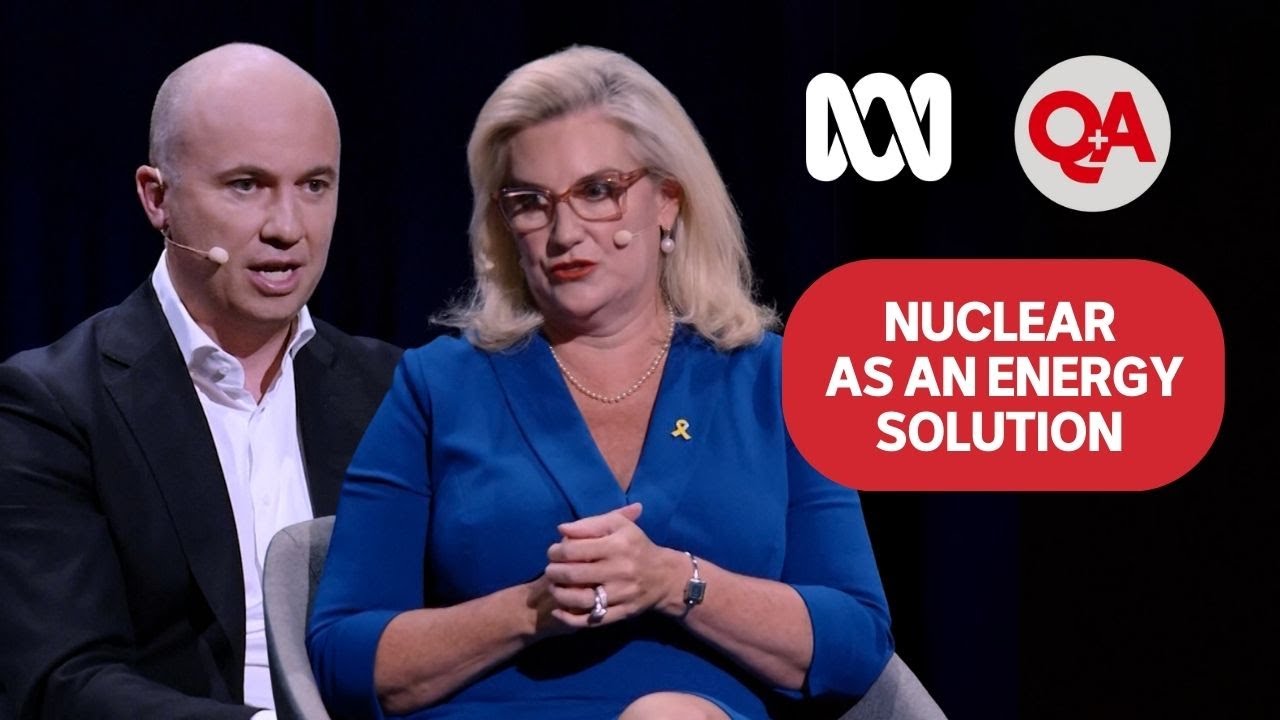 Climate Authority head Matt Kean says Liberals 'socialist' for 'nonsense' nuclear policy | Q+A
