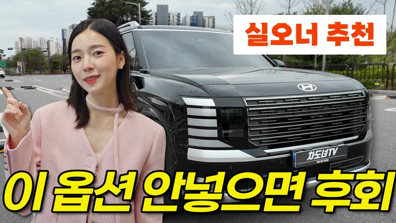 팰리세이드 실오너가 말하는 꿀옵션 1위, 그리고 후회한 점🙌