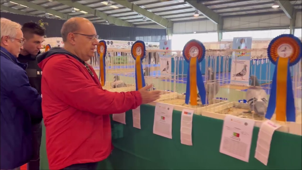 Exposição Nacional Caldas Da Rainha 2024