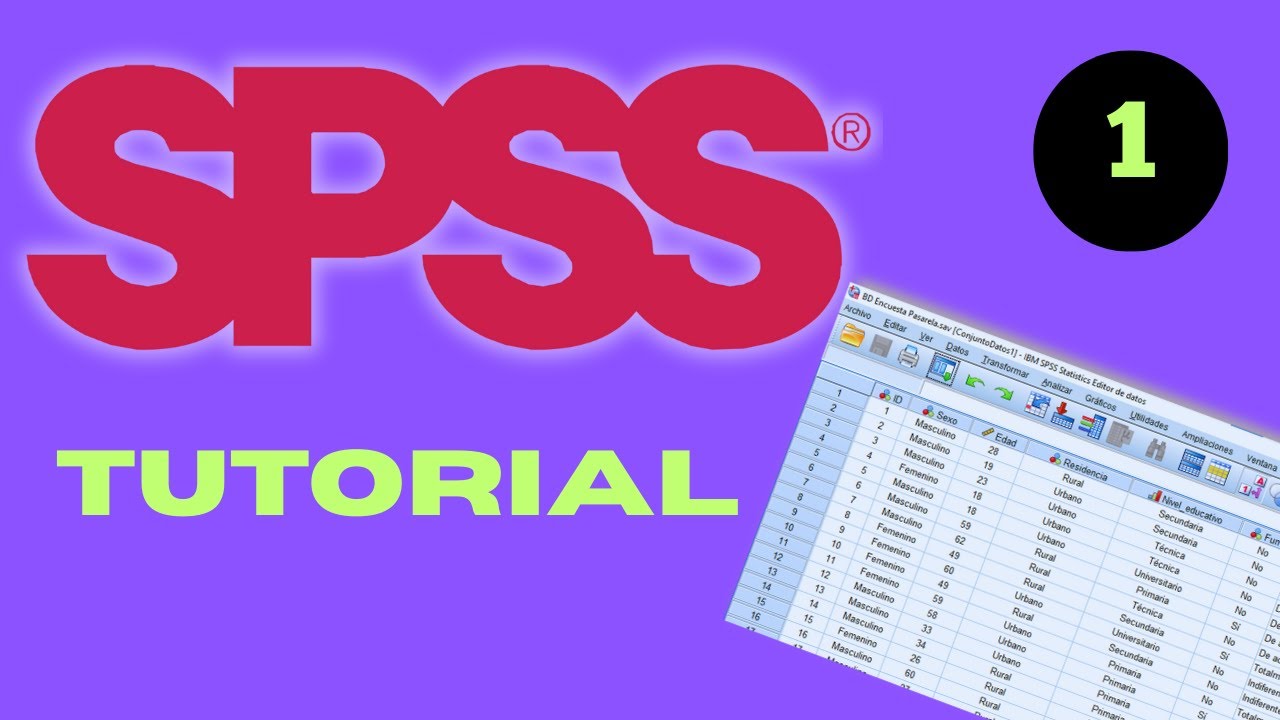 Curso de SPSS - Preparación de los Datos (CURSO GRATIS DE SPSS)
