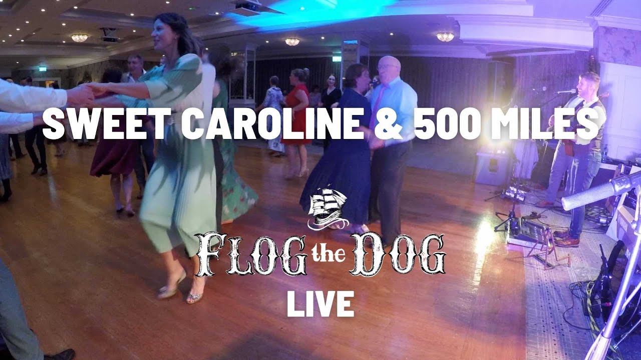 Sweet Caroline & 500 Miles (LIVE) - Flog The Dog Wedding Band Ireland