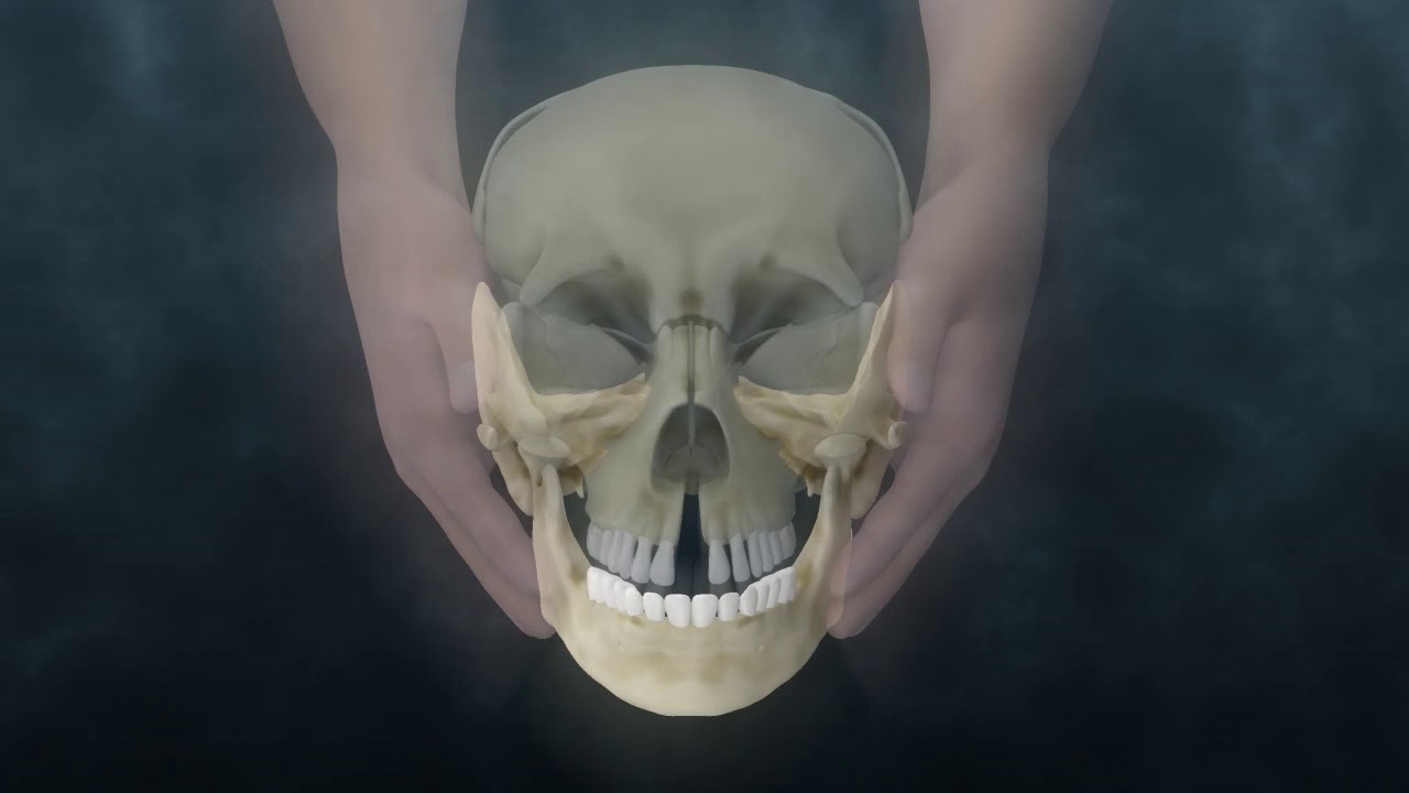Lyons Institute - Craniosacral Biodynamics: TMJ - Mandible Hold