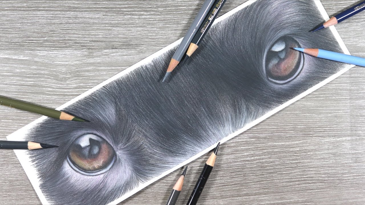 How to Draw Dog Eyes in Coloured Pencils & Solvent | Step-by-Step Tutorial