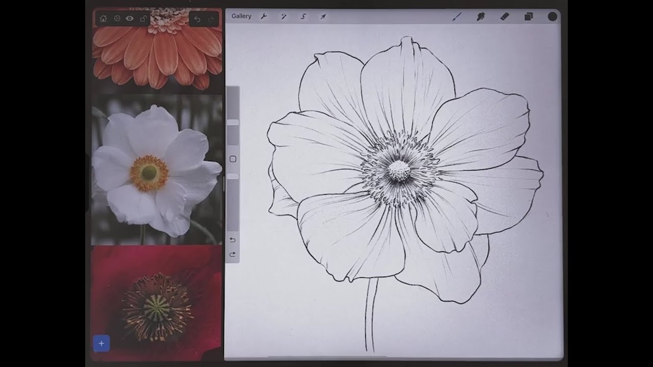 Procreate Tutorial - How to Draw a Flower Step by Step