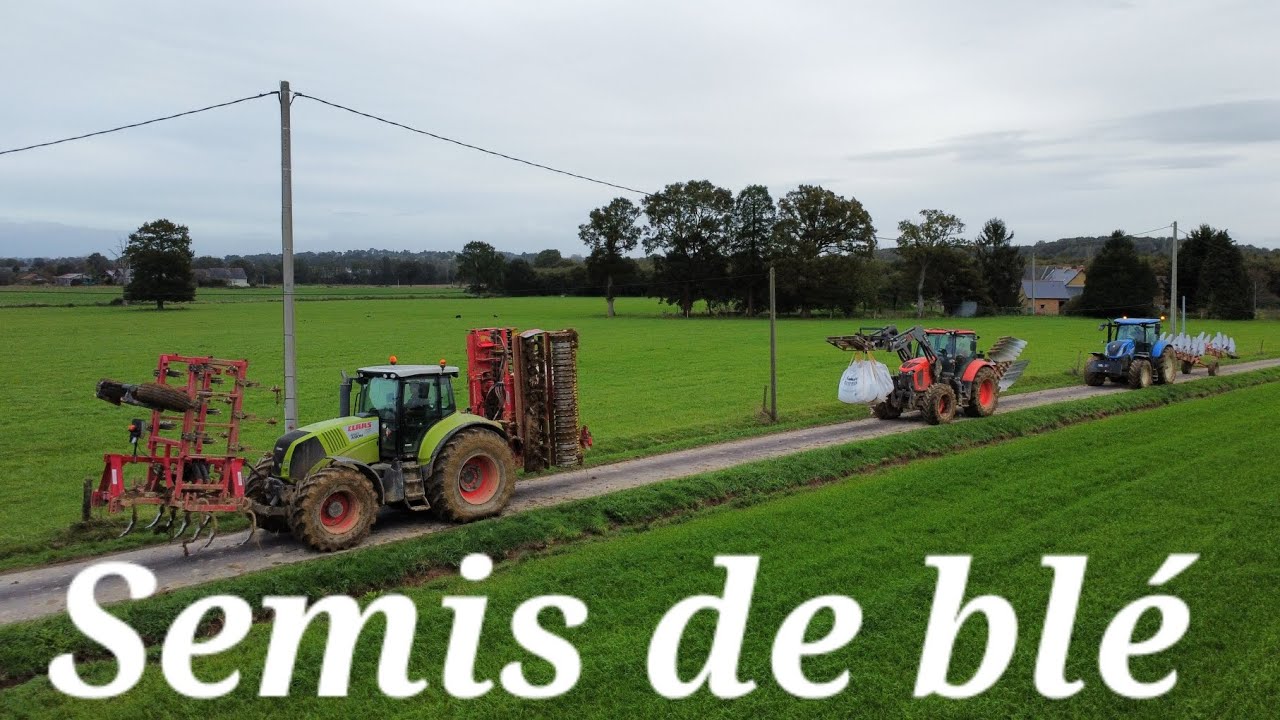 Semis de blé 2023