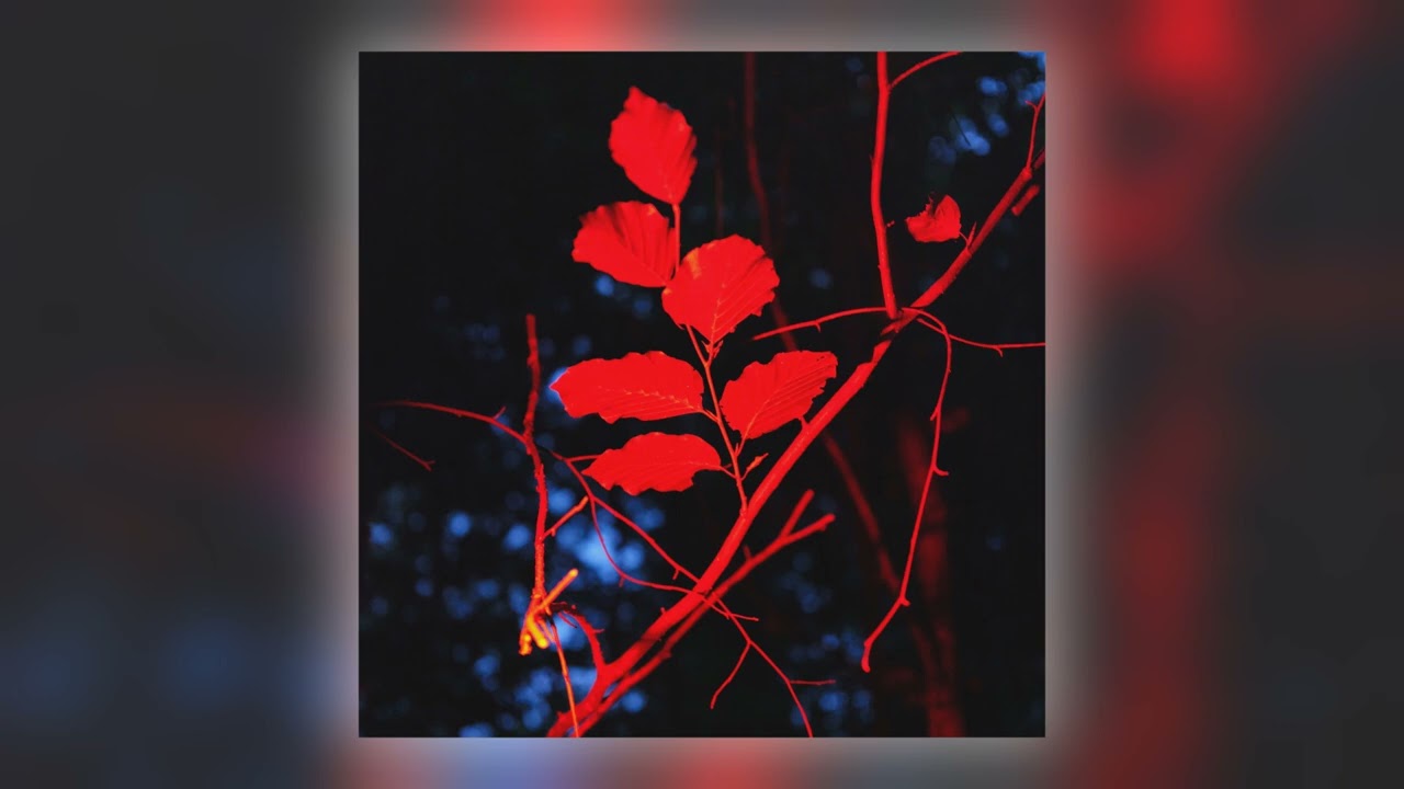 Ludwig Berger - Between Water and Circuitry [Audio]
