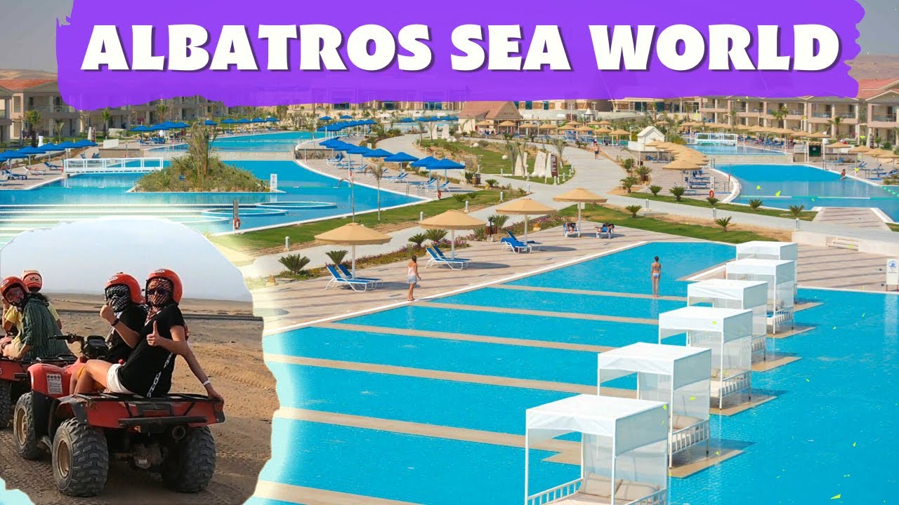 Отдых в Египете, отель ALBATROS SEA WORLD MARSA ALAM, черепахи, квадроциклы, отзыв.