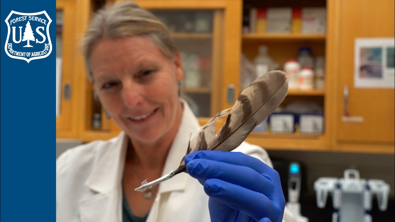Meet the Scientist: Kristy Pilgrim