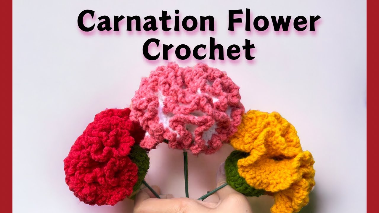 Crochet Carnation Flower beginner Tutorial 🌺🌸