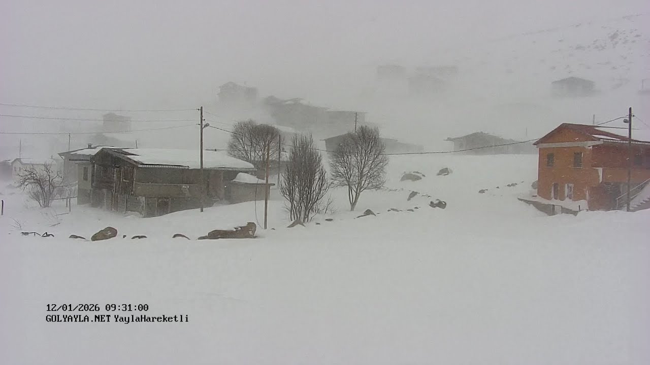 2 🔴 Yayla Hareketli - Kabahor Gölyayla Köyü Canlı Yayın