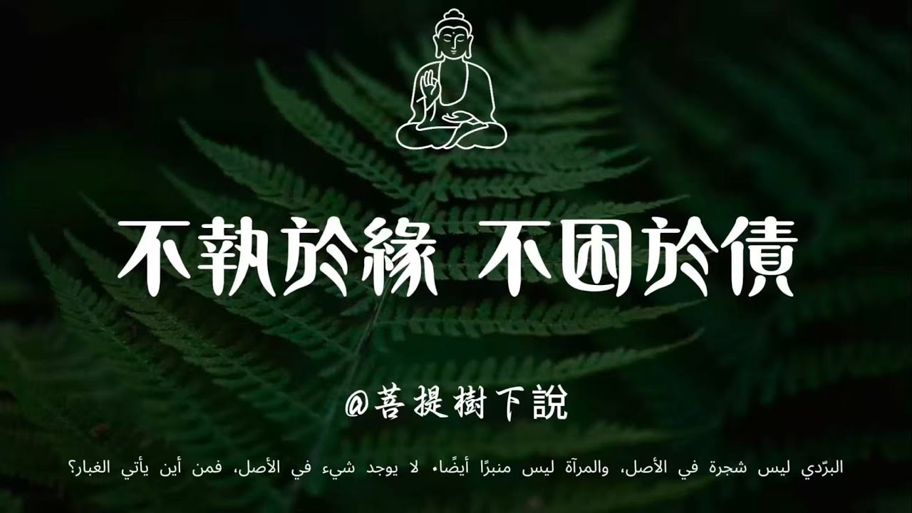 【建議收藏】不執於緣，不困於債 —— 心無牽絆方得自在，因果循行中修得安然#修行 #國學 #人生感悟 #治癒