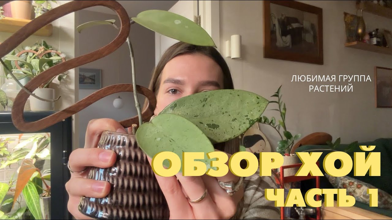 ОБЗОР КОЛЛЕКЦИИ ХОЙ/ ЧАСТЬ 1