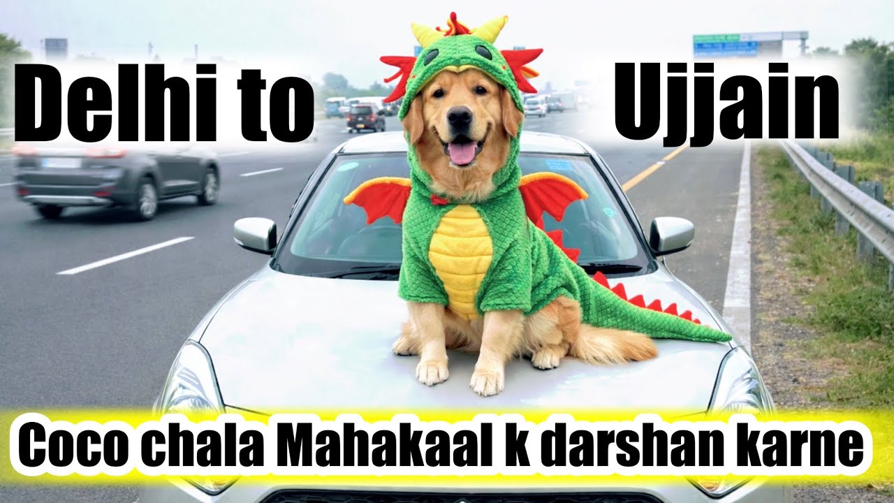 Coco chal pada ujjain Mahakaal k Darshan karne ! Delhi to Ujjain with my Dog ! Travel with pet