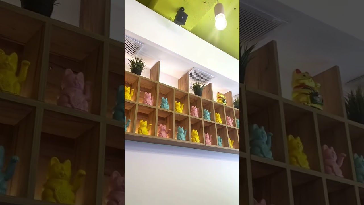 Best Asian Fusion Sandwiches in #sofia #asian #asianfusion #sandwiches #juicy
