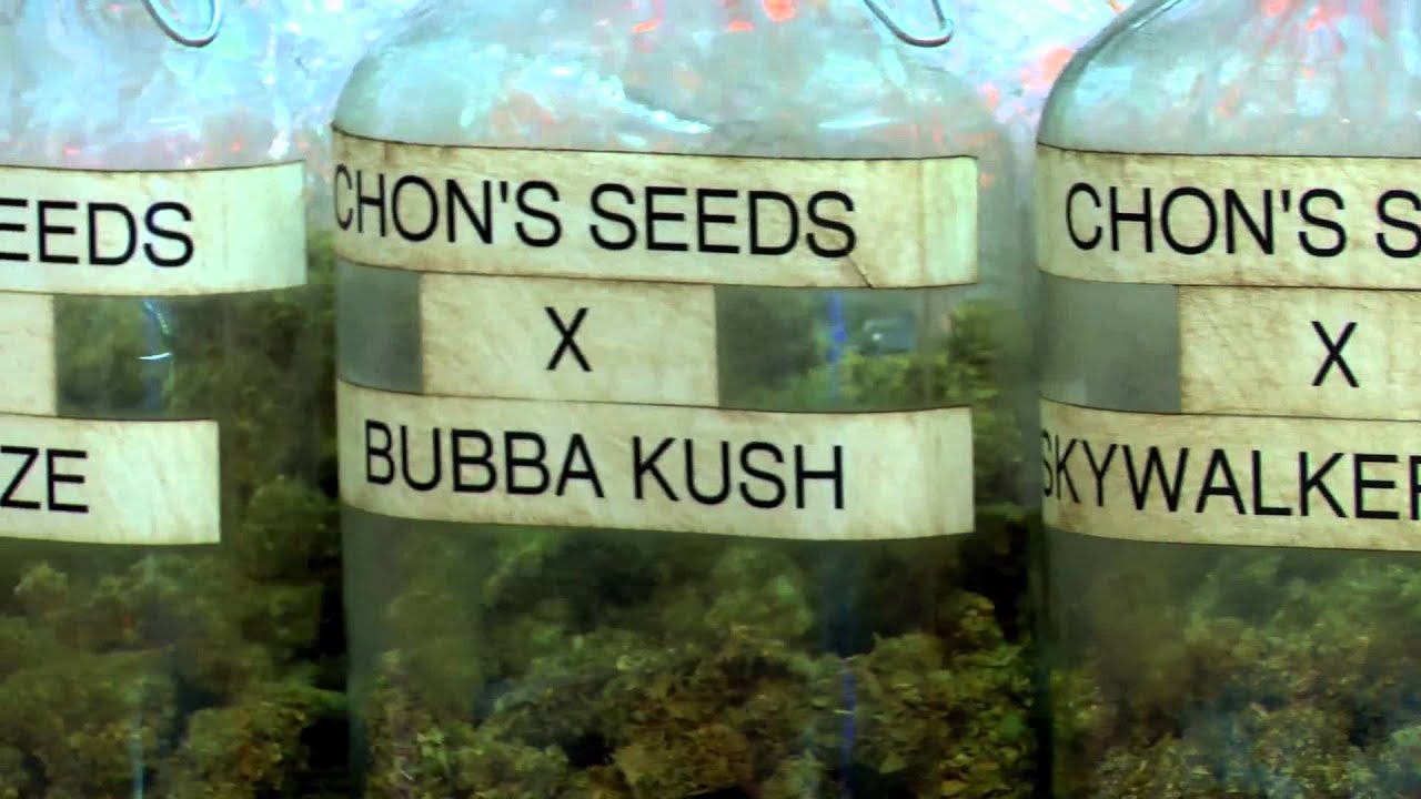 On The Set With Oliver Stone - The Grow House