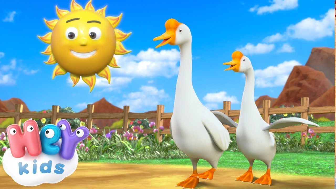 Le Mie Ochette | Canzone per bambini piccoli - HeyKids Italiano