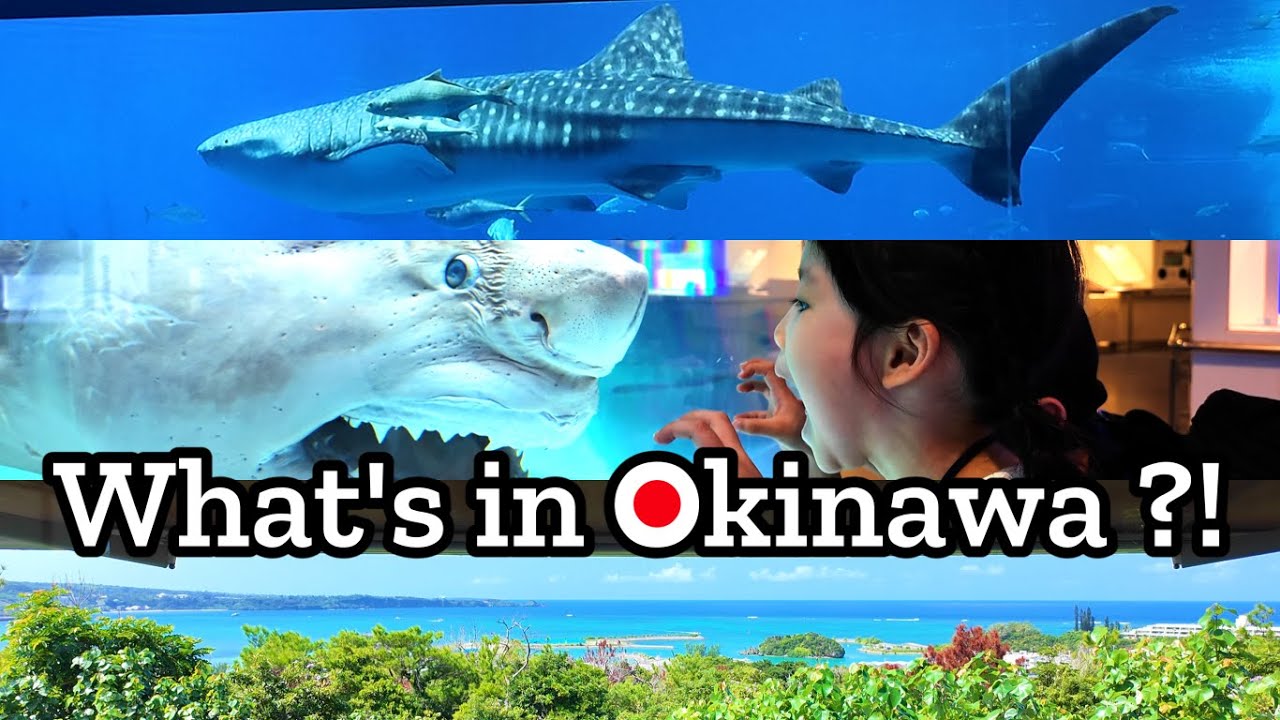 What to Do in Okinawa? 🇯🇵 Perfect 4-Day Trip (Food, Views & Culture!)