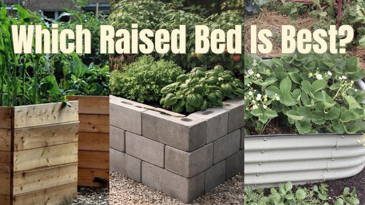 Which Raised Bed Is Best? Wood vs Concrete vs Metal