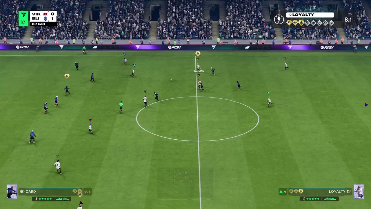Vikings VPG