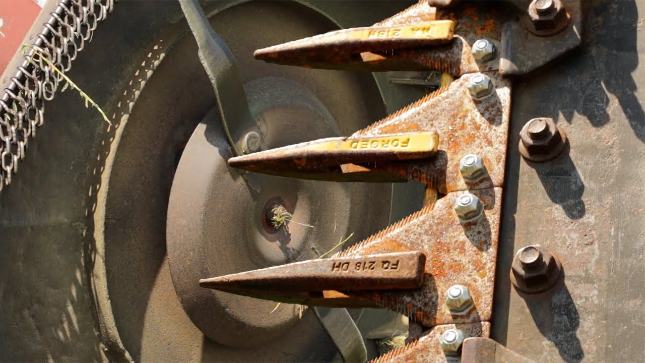 Sickle Mower Vs Brush Hog for Weed Control in First Year Plantings
