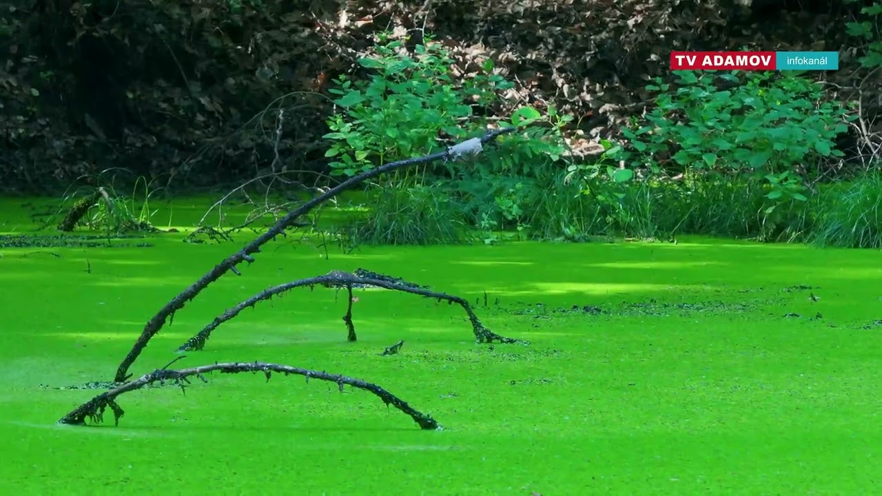 Město Adamov 07/25 #adamov07 #mcfilm #marekcerny