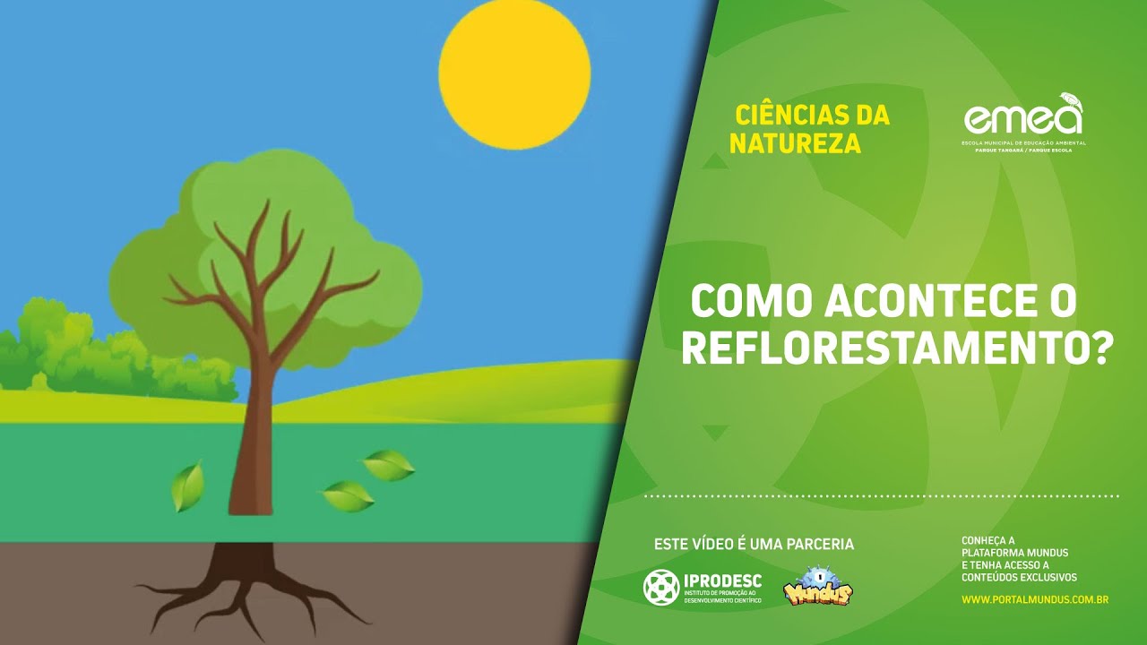 Ci&ecirc;ncias Humanas - COMO ACONTECE O REFLORESTAMENTO?