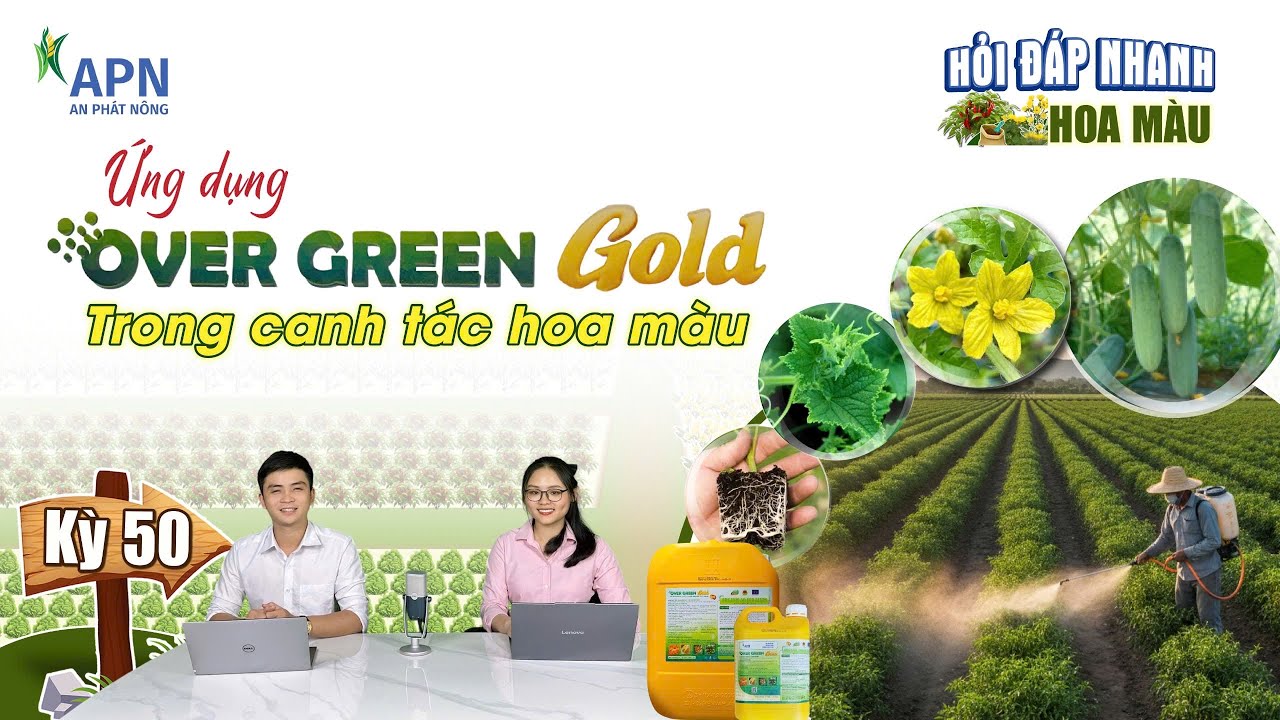 APN - DINH DƯỠNG TƯỚI GỐC CHO RAU MÀU | KHOẺ ĐẤT, TỐT BỀN