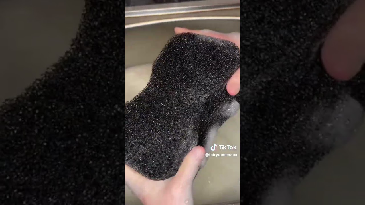 favorite sponge squeezes 
