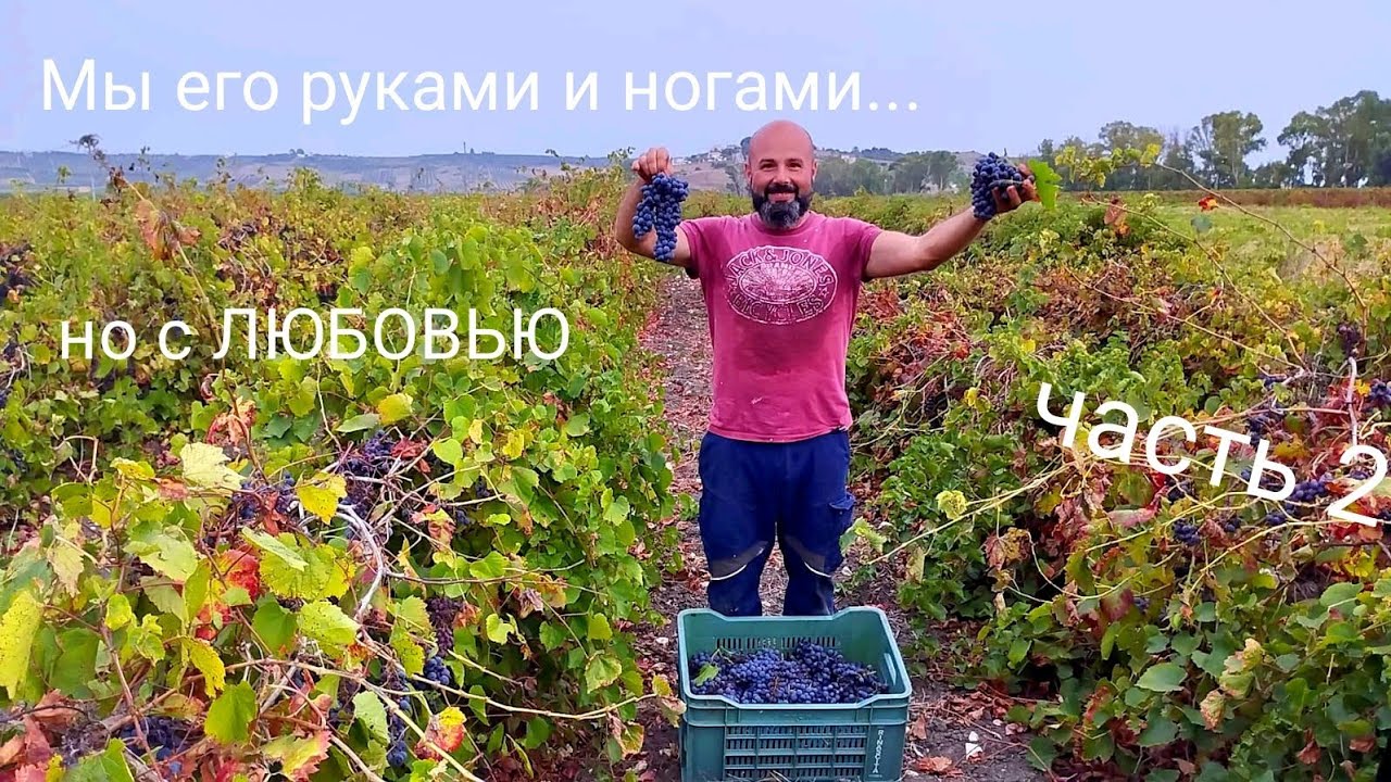 44.  Дом на хуторе.  Из виноградника в бочку.  Положили плитку на пол и черепицу на крышу.