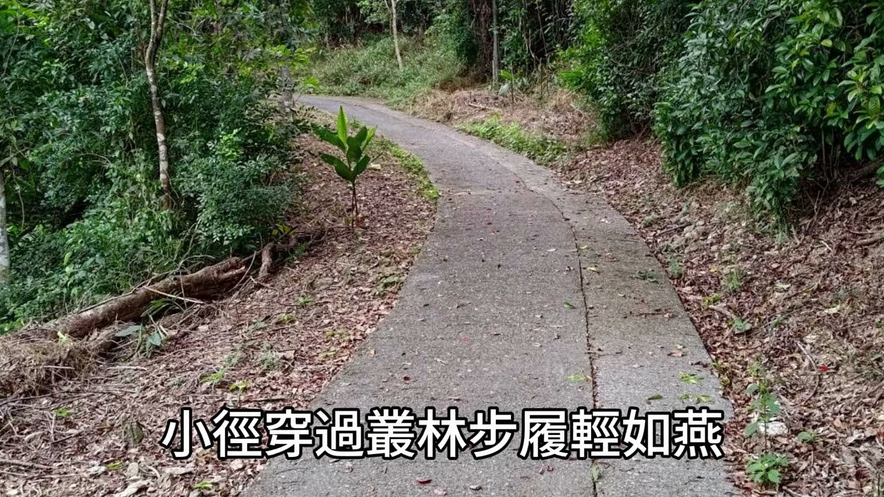 雲居桃源